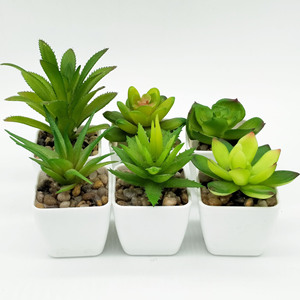 Plantas tropicales de tacto Real de imitación para interiores, conjunto de flores de plástico, plantas suculentas artificiales - Product Image 6