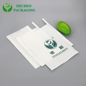 Waxed Custom Size Grape Protection Paper Pp Non-woven Fruit Cover Bag