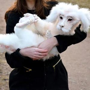 Nueva tendencia, la nueva Mesa de peluche de oruga de Labyrinth - Product Image 3