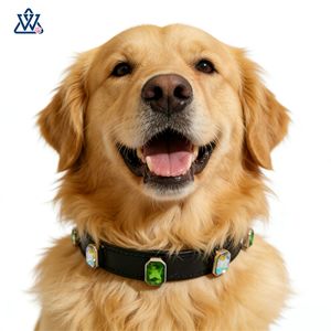 Collar para Mascotas Blanco Ajustable Estilo Lujoso para Razas Pequeñas Decorado con Diamantes - Product Image 2
