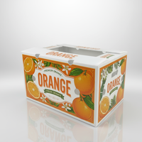 Boîte en plastique ondulé carrée, imperméable, écologique, respirante, en PP, pour fruits et légumes, emballage pour chaîne du froid, utilisation réutilisable