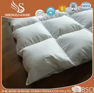 King Queen <strong>Double</strong> Custom Size Duck Down Quilt <strong>Feather</strong> Filling <strong>Duvet</strong> All Season Comforter Breathable Down Quilt - Product Image 2