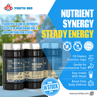 Comprimés de Multivitamines et Minéraux en Gros avec Vitamine C et Zinc pour un Bien-être Quotidien Complet pour Hommes et Femmes – En Stock, 120 Comprimés
