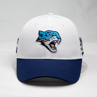 Gorra de Béisbol Personalizada de Alta Calidad al por Mayor, de 6 Paneles, de Algodón con Visera Curva, Estilo Urbano, Bordado Hip-Hop, Ropa Urbana