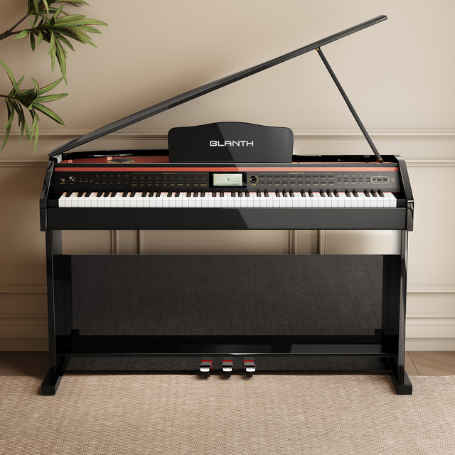 BLANTH Keyboard Instruments Electric Piano Keyboard Digital Piano Electronic Music Instrument Piano for Sale