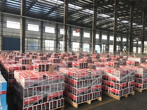 Ắc quy XUPAI chất lượng tốt 6-dzm-20 (12V20ah) ắc quy axit chì dùng cho xe máy/xe ba bánh điện - Product Image 5