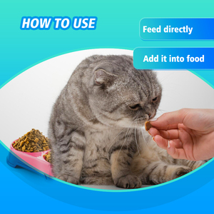 Gut Health Diarrhée Gaz & <span class=keywords><strong>Constipation</strong></span> Soulagement Levure Balance Probiotiques Mâche pour Chiens Enzymes Digestives Prébiotiques Soutien - Product Image 6