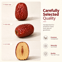 OEM Bulk Gezaagde Rode Dadels Natuurlijk Zoete Zachte Kauwbare Jujube Fruit Groente Snack Klaar om te Eten 12 Maanden Houdbaarheid Heerlijk