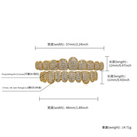 Grilles dentaires 10 dents en argent plaqué or, entièrement serties de strass et de cristaux, style rappeur punk hip-hop, bijoux corporels unisexe
