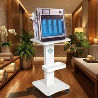 Nouvelle Machine d'Hydrodermabrasion Aqua Peeling 2026 Personnalisable pour Salons de Beauté – Équipement de Soin de la Peau