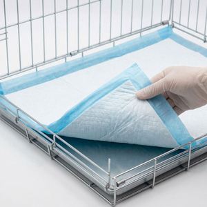 Couches pour animaux de compagnie en matériau écologique, super absorbantes, anti-fuites, jetables, directement de l'usine, avec support pour logo personnalisé - Product Image 2