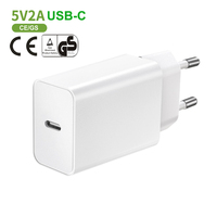 Charger Dinding USB Type C Premium CE/GS EU Plug 5V 2A 10W untuk Earphone/Speaker/Smart Watch/Kipas Mini/Ponsel Nirkabel