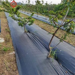 <span class=keywords><strong>Géotextile</strong></span> tissé en PP haute résistance pour pistes d'atterrissage d'avions et d'aéromodélisme - Product Image 5