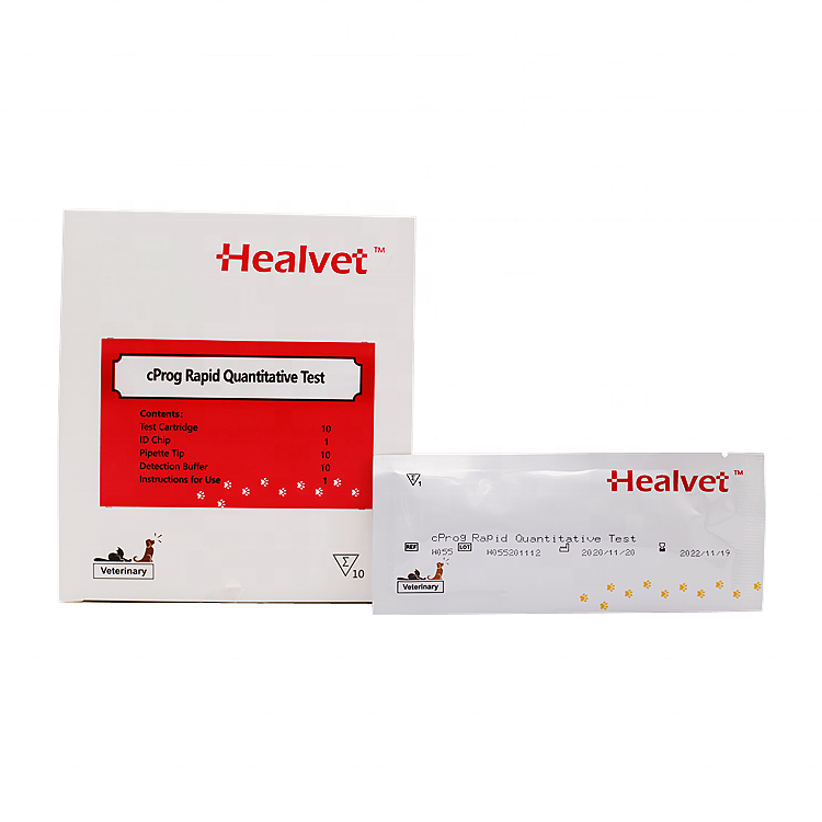 Healvet Veterinary Fast Accurate Prog Test Dog In klinischen analytischen Instrumenten Canine cProg Schwangerschaft stest