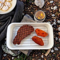 NT-1009 Grille de refroidissement en acier inoxydable de qualité alimentaire pour cuisine, cuisson, rôtissage, grillades, camping en extérieur et barbecue
