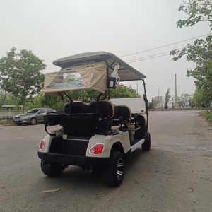 Carrito Utilitario Tipo Buggy para Club de Caza, de Alta Calidad, 4 Plazas, Carrito de Golf para Calle, 48V/5000W, Certificado CE, con Faros LED - Product Image 6