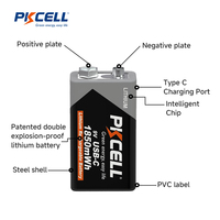 Batterie au lithium rechargeable USB-C PKCELL 9V 3700mAh pour télécommandes, jouets, outils électriques et appareils électroniques grand public, usine chinoise