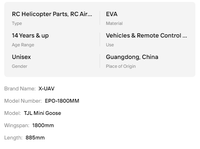 X-UAV TJL Mini oie 1800mm envergure EPO ailes fixes RC avion cadre Kit avion Drone hélicoptère jouet