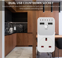 Cowell Programmierbarer Einzel-Countdown-Timer-Stecker mit 10-Stunden-USB-Schnittstelle Schalter CE/ROHS-Zertifiziert 13A Maximalstrom UK-Stecker