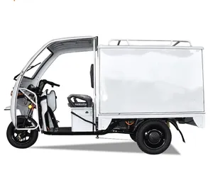 Penjualan langsung dari pabrik sepeda roda tiga kargo E pengiriman kilat EV untuk Van listrik lalu lintas transportasi kantor pos nasional