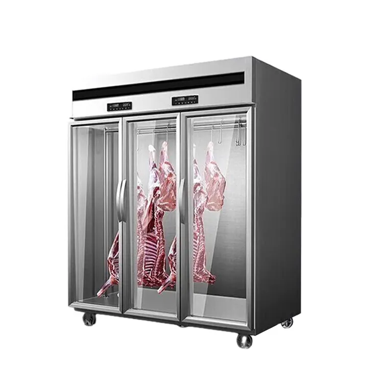Steak Beef Specialized Maturation Cabinet Customized Steak Commercial Kitchen Equipment Meat Dry Age Maturation Fridge Cabinet