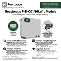 Batterie LiFePO4 51,2 V 314 Ah 16 kWh pour stockage d'énergie solaire, onduleur et système de secours