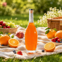 Offre Spéciale – Bouteille en Verre Super Flint 500ml 750ml pour Liqueur, Vodka, Tequila, Whisky avec Bouchon Noir – En Vente