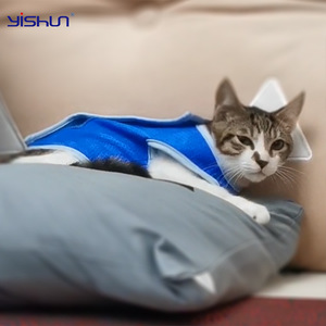 Yishun Gilet rafraîchissant pour animaux de compagnie, pour chats et chiens, été, refroidissement rapide, bleu, en polyester, design simple, couleur unie, vêtements pour animaux - Product Image 2