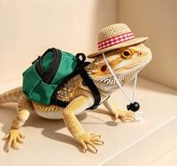 Ensemble de 3 pièces pour petits animaux multi-espèces, mini skateboard, sac à dos, chapeau pour perroquet, hamster, lézard, tortue, utilisation pour cosplay