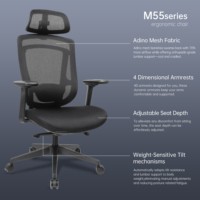 Chaise de bureau ergonomique à double structure