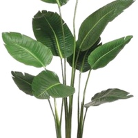 Ventes d'usine, plantes artificielles simulées de 2200 mm de haut, palmiers bananiers modernes