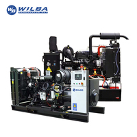 Groupe électrogène diesel Weichai Power personnalisé avec support sur mesure 20KW 30KVA 50KW 100KVA 100KW 100KVA 150KW 150KVA 200KW 200KVA 300KW 300KVA