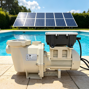 2026 Pentair Style Solar <b>Water</b> <b>Pump</b> 800W AC/DC Hybrid Low Noise Swimming <b>Pool</b> Electric <b>Water</b> <b>Pump</b> Piscina Bomba - Product Image 1