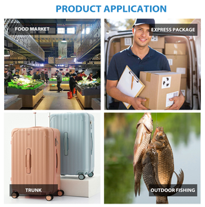 हॉट सेलिंग 110lb 50kg इलेक्ट्रॉनिक हैंडल हैंग वजन मापने वाले टेप सामान पैमाने पर मछली पकड़ने का पैमाना हुक के साथ डिजिटल - Product Image 5