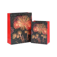 Sacs cadeaux imprimés avec des motifs de feux d'artifice colorés et créatifs, avec estampage doré, pour la promotion des magasins et l'emballage de cadeaux et d'artisanat