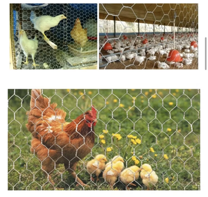 <strong>Galvanized</strong> Steel <strong>Chicken</strong> Coop <strong>Wire</strong> Netting <strong>Hexagonal</strong> Poultry <strong>Mesh</strong> for Animal Barrier Fencing Welded Technique Cut Bend Available - Product Image 3
