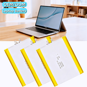 Ce Polymer Li-ion di động 3V 4S 9000mAh 24V 1000mAh 6000mAh 5000 mAh 4400mAh 5200mAh 12V 2600mAh 4000mAh 9 volt Pin - Product Image 1