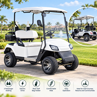 Voiturette de golf électrique 2 places avec batterie au lithium, audio Bluetooth, porte-sac de golf, éclairage LED et kit d'outils