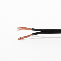 Encendedor de Cigarrillos para Auto con Pinzas de Cocodrilo, Cable de Alimentación Eléctrica 12V/24V, Cargador para Auto, Adaptador de Corriente
