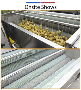 Factory Direct Sales Eco-Friendly Stainless Steel Industrial Fruit <b>Vegetables</b> Taro Sweet Potato Carrot <b>Brush</b> Peeling Pump - Product Image 2