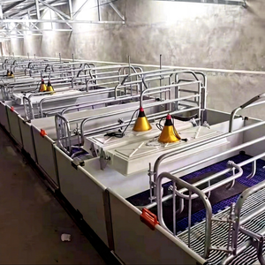 Cage de maternité pour truies 2,2*3,6m – Anti-rouille pour élevages porcins intégrés - Product Image 1