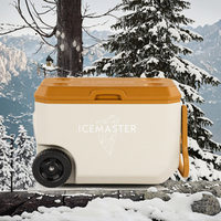 Glacière pour aliments 38L beige OEM avec poignée PP PE PU Chariot pour jus à bas prix 37L Carry Cooler Box
