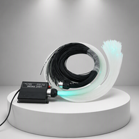 Kit d'éclairage à fibres optiques RGB pour plafond de sauna, bonne durabilité, effet ciel étoilé