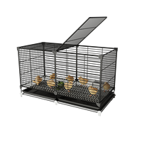 Cage en fil de fer pour l'élevage de poussins et de cailles, conception anti-évasion, grand espace pouvant accueillir 30 à 80 cailles roux, utilisable toute l'année