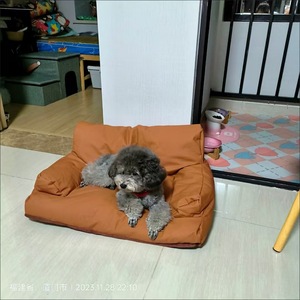 2025 çevre dostu hakiki deri büyük ölçekli köpek yatağı yavru ev çekyat kaymaz sırt desteği dikdörtgen klasik moda - Product Image 4