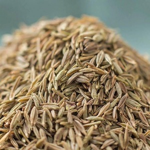 เมล็ดยี่หร่าขายดีที่สุด ยี่หร่าอินเดียแท้ทั้งเมล็ด ซิงคโปร์ 99% 25 กก. บรรจุถุง PP เกรดพรีเมียม อาหารเกรดพรีเมียม ราคาส่งออก - Product Image 4