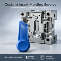 Service de moulage par injection de précision sur mesure OEM ODM, pièces en plastique injecté avec insert métallique, tolérance ISO 2768-m