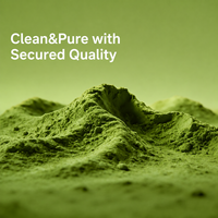 Thé vert matcha de qualité cérémonielle standard GB pour cérémonie du thé, vente en gros, OEM, ODM, en vrac, MOQ 10 kg