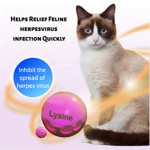 ODM OEM Mềm Nhai Taurine Lysine Hàng Ngày Thú Cưng Bổ Sung Mèo Của Sức Khỏe Tăng Sức Khỏe Tổng thể Năng Lượng Herpes Virus Hỗ Trợ Hữu Cơ - Product Image 3