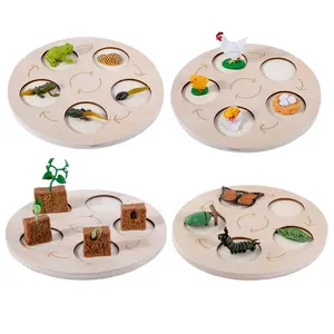 Kinder wissenschaft liche Lernhilfen Simulation Insekten Tier Pflanze Modell Lebens wachstums zyklus Baby Kids Holz Montessori Spielzeug